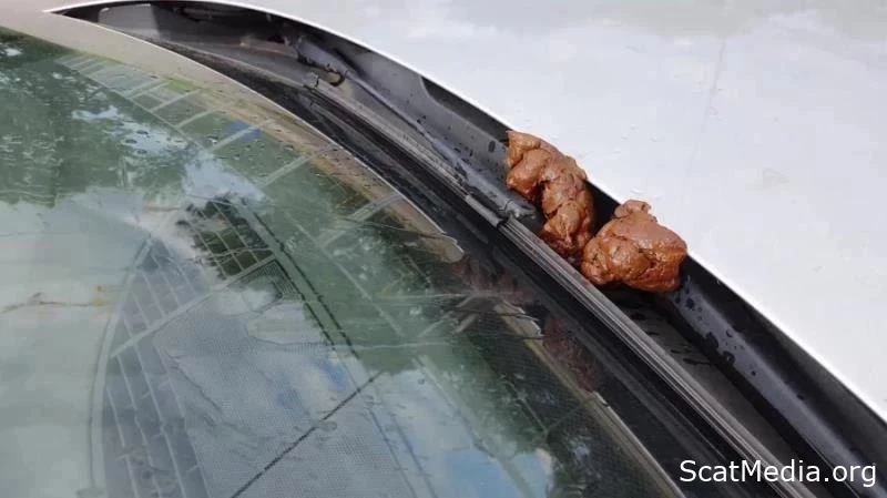 Public Display Of Fecal And Urinary Functions In A Car: Versauteschnukkis