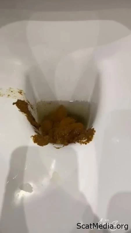 An Abundance Of Shit In The Porcelain Basin. P1