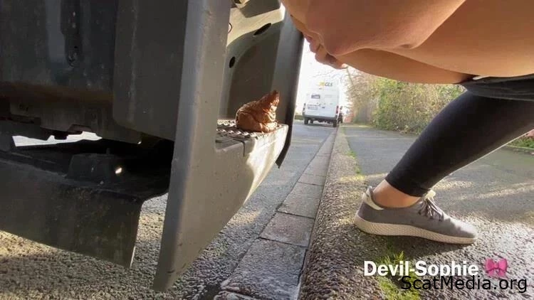 Astonishment: Inquiry About The Presence Of Feces On A Vehicles Step - Devil Sophie