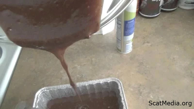 Jessicakaytings Brownie Batter Scat Cake